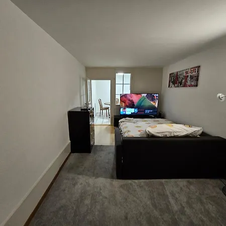 Real Swiss Classic & Up To 7 Seats Cars Option Apartment Bern
