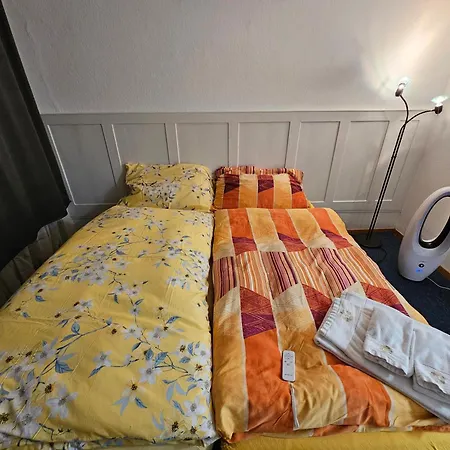 Real Swiss Classic & Up To 7 Seats Cars Option Apartment