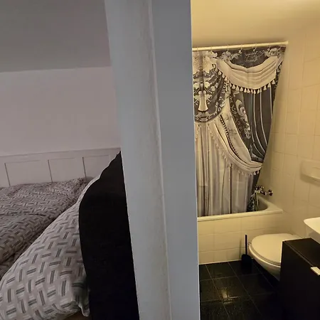 Апартаменты Real Swiss Classic & Up To 7 Seats Cars Option Берн